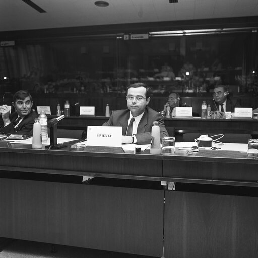 Meeting of the Committee on Agriculture, Fisheries and Rural Development in December 1988