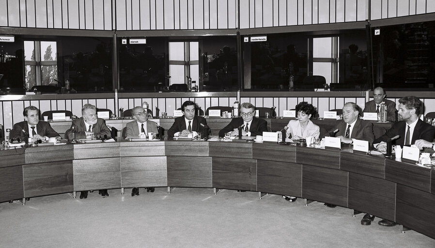 Fotografia 2: EP President, The Lord PLUMB attends a meeting with an Italian delegation