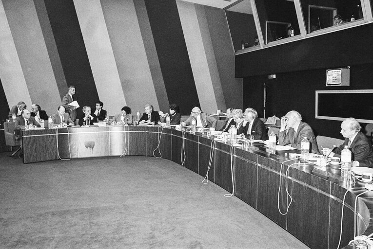 Meeting on ' Single European Act ' at the European Parliament in Strasbourg in May 1987