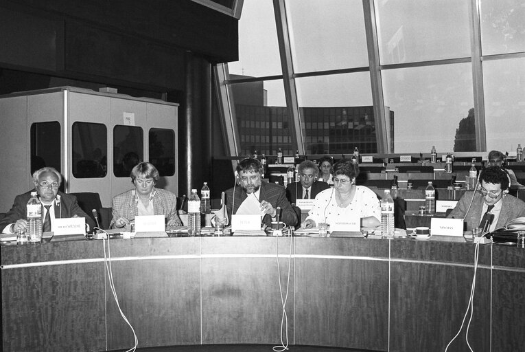 Fotogrāfija 2: Committee on Petitions meeting at the EP in Luxembourg