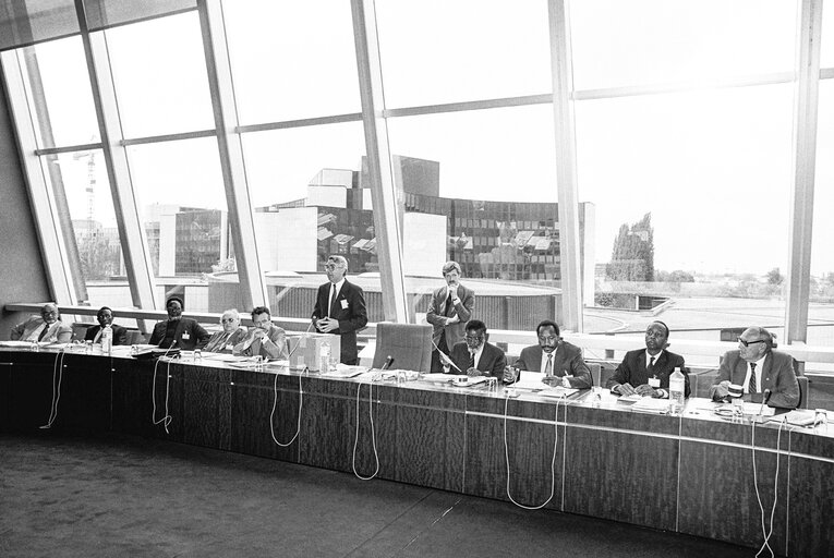 Nuotrauka 3: Meeting with Permanent representative to the United Nations at the European Parliament in Strasbourg in May 1987