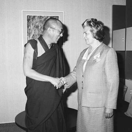 Foto 18: Visit of the Dalai Lama at the European Parliament in Strasbourg