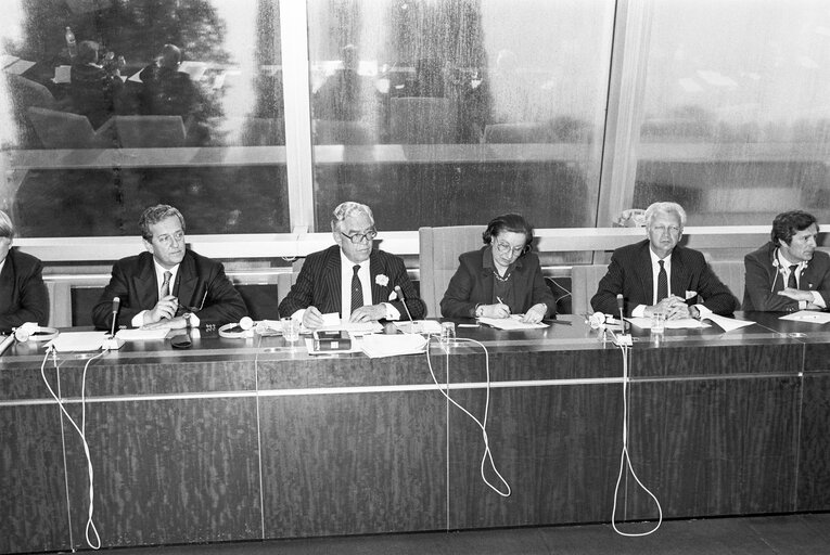 Energy, Research and Technology Meeting at the European Parliament in Strasbourg in April 1989