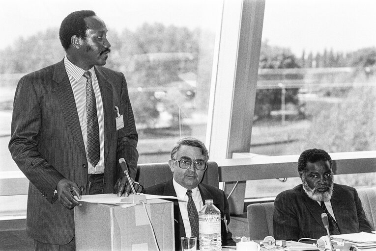 Fotografija 4: Meeting with Permanent representative to the United Nations at the European Parliament in Strasbourg in May 1987