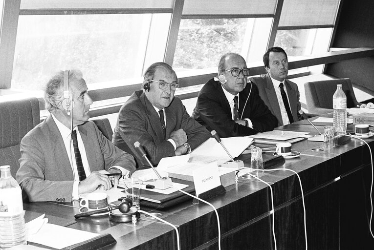 The Lord PLUMB, Eolo PARODI in meeting at the European Parliament in Strasbourg