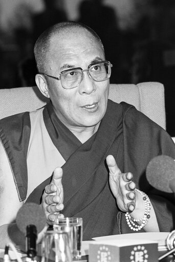 Fotografija 7: Visit of the Dalai Lama at the European Parliament in Strasbourg. Press Conference