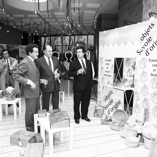 Photo 8: Exhibition on Savoie Region at the European Parliament in Strasbourg