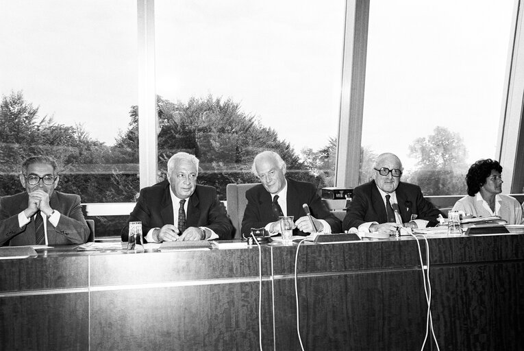 Photo 1: Meeting with  Ariel SHARON Minister of Industry and Commerce at the European Parliament in Strasbourg