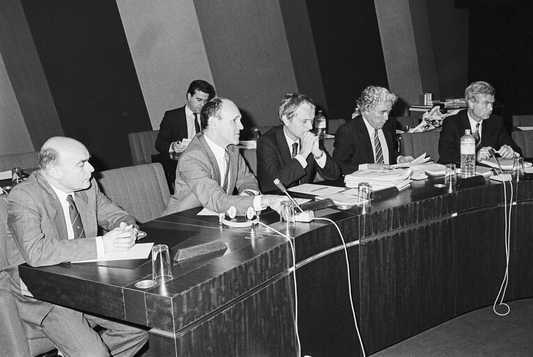 Meeting on ' Single European Act ' at the European Parliament in Strasbourg in May 1987