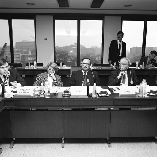 Fotografia 3: Meeting of the Committee on Agriculture, Fisheries and Rural Development in December 1988