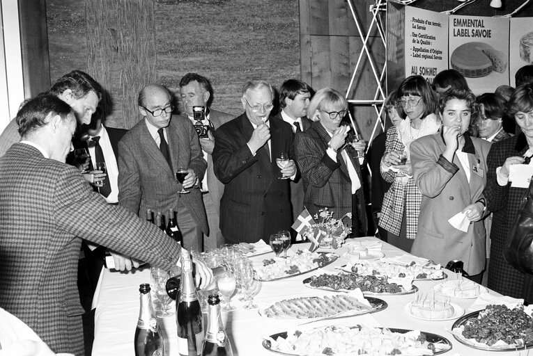 Photo 10: Exhibition on Savoie Region at the European Parliament in Strasbourg