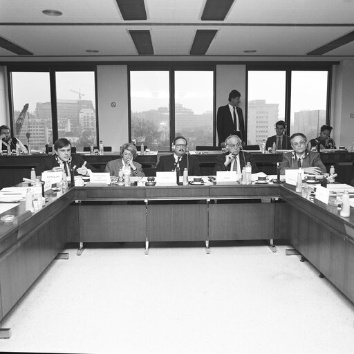 Fotografija 4: Meeting of the Committee on Agriculture, Fisheries and Rural Development in December 1988