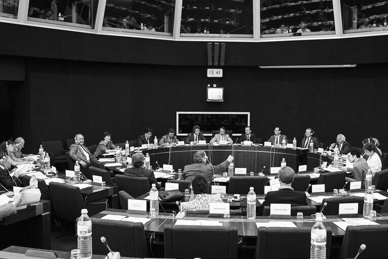 Committee on Petitions meeting at the EP in Luxembourg