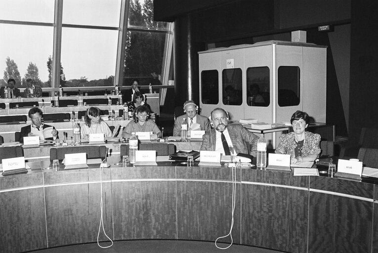 Committee on Petitions meeting at the EP in Luxembourg