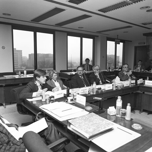 Fotografia 5: Meeting of the Committee on Agriculture, Fisheries and Rural Development in December 1988