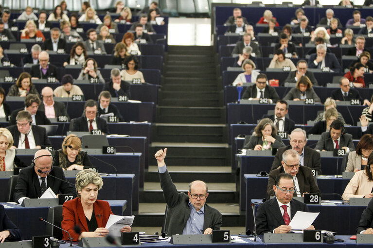 Fotografi 22: Plenary session week 03 2016 in Strasbourg - Votes