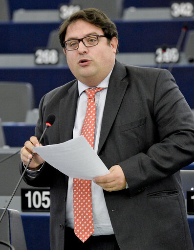 Foto 2: Francesc GAMBUS in plenary session week 03 2016 in strasbourg