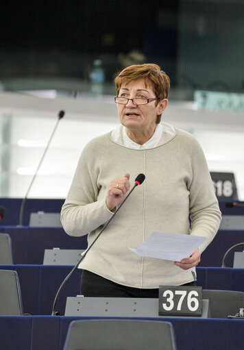 Fotografie 5: Plenary session week 05 2016 in Strasbourg    Joint debate