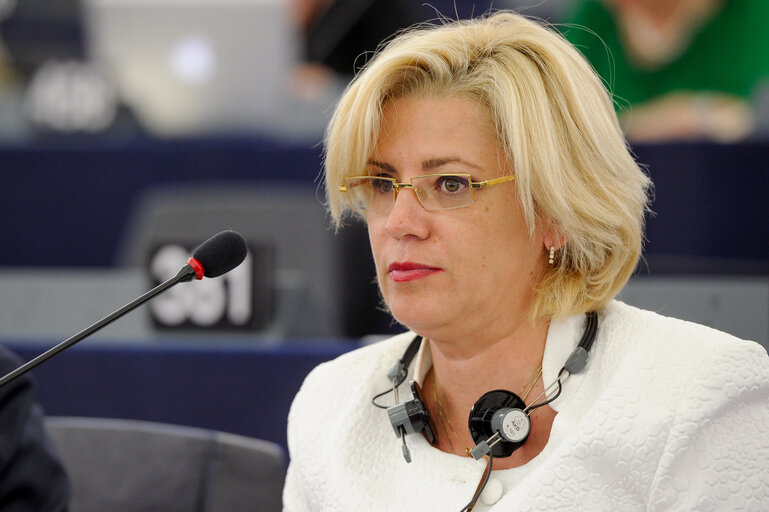 Снимка 1: Election of Vice President Corina CRETU