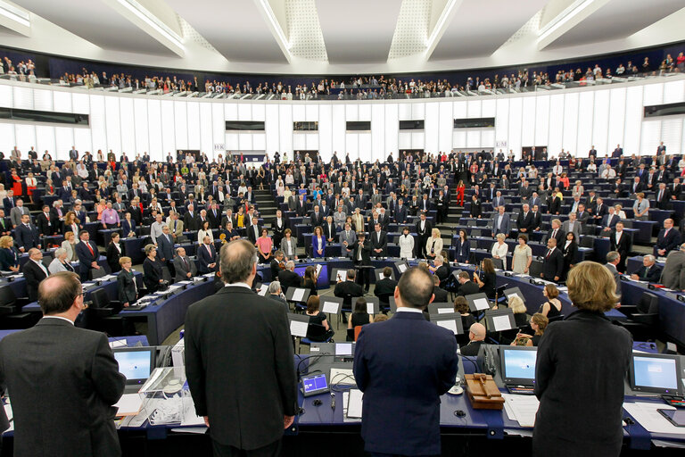 Снимка 34: Plenary session week 27-2014 - Opening of the plenary and election of the President of the Parliament (first ballot)