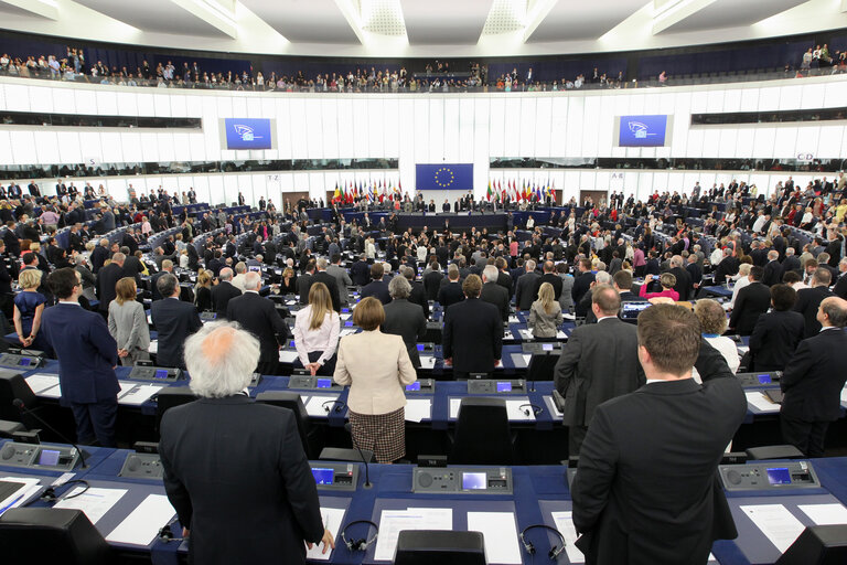 Fotó 4: Plenary session session week 27 2014