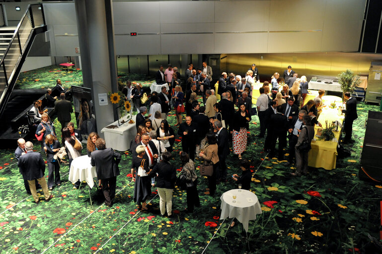 Fotografia 50: EE-2014 - Electoral night in Strasbourg