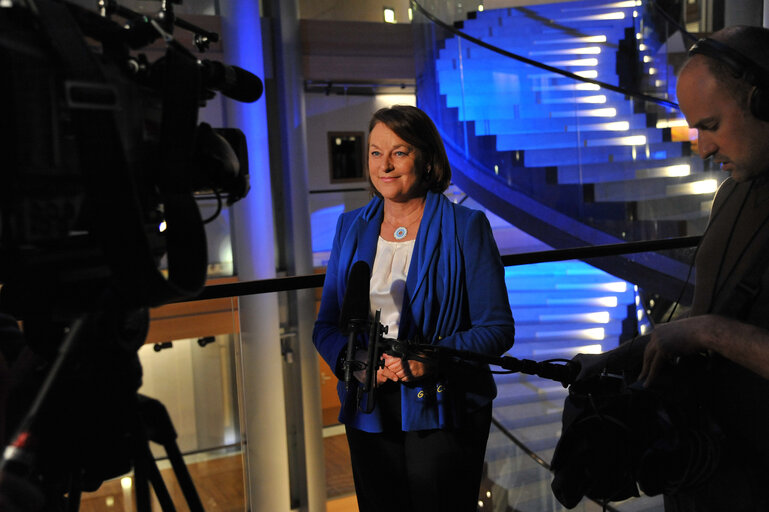 Fotografia 39: EE-2014 - Electoral night in Strasbourg