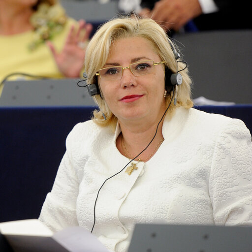 Billede 7: Election of Vice President Corina CRETU