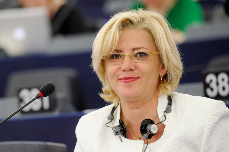 Billede 4: Election of Vice President Corina CRETU