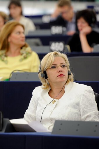 Election of Vice President Corina CRETU