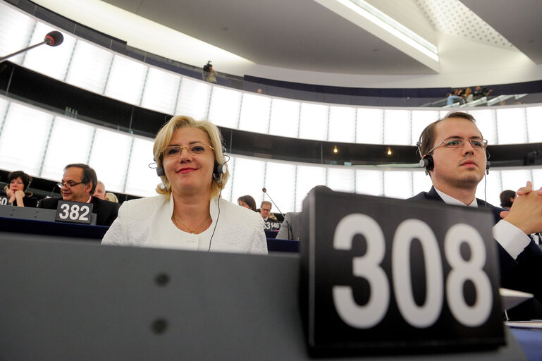 Fotografia 5: Election of Vice President Corina CRETU