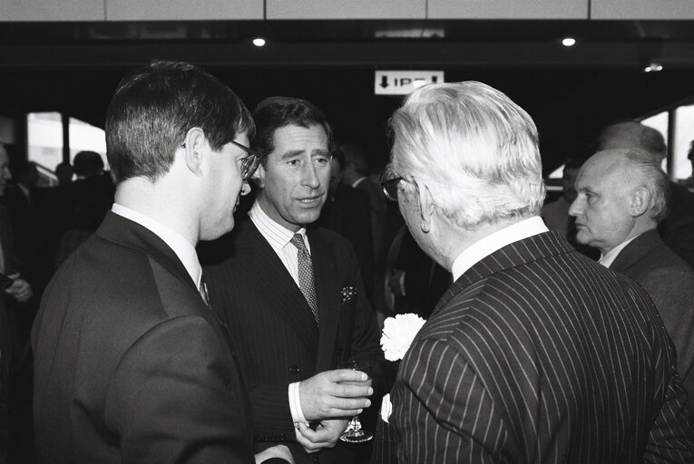 Fotografia 29: Official visit of Prince Charles to European Parliament In Strasbourg