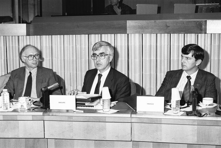 Foto 22: Meeting with Australian Delegation at the European Parliament in Strasbourg in October 1989.