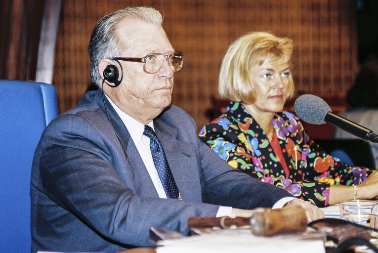 MEP (Hans) Johannes Wilhelm PETERS in the hemicycle