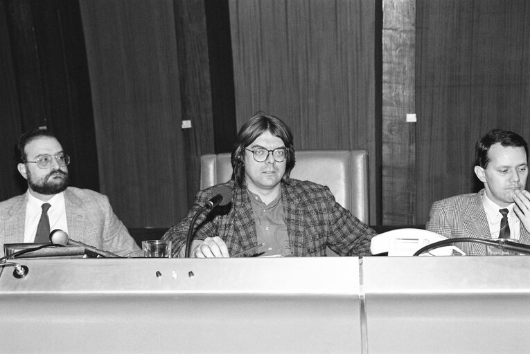 Foto 1: Meeting at the European Parliament