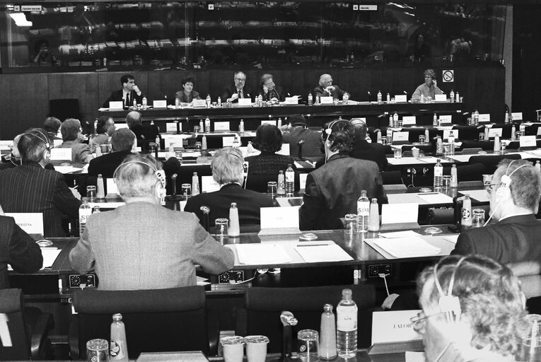 Foto 19: Meeting at the European Parliament in Brussels