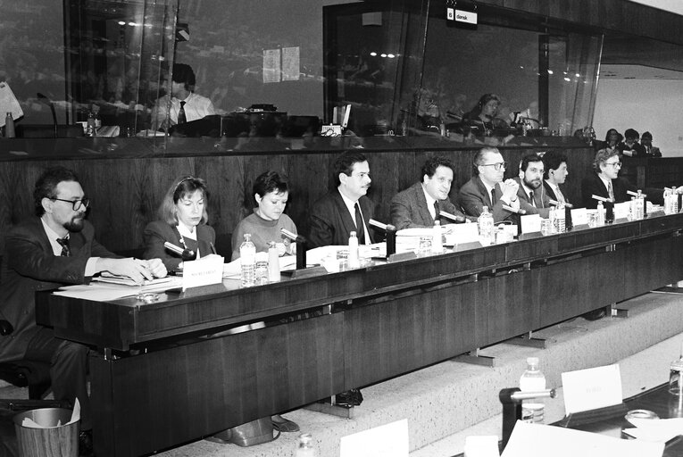 Foto 18: Meeting at the European Parliament in Brussels