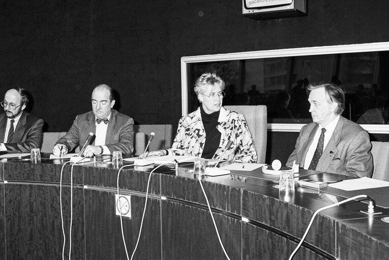 Foto 1: Meeting with Russian Delegation at the European Parliament in Strasbourg