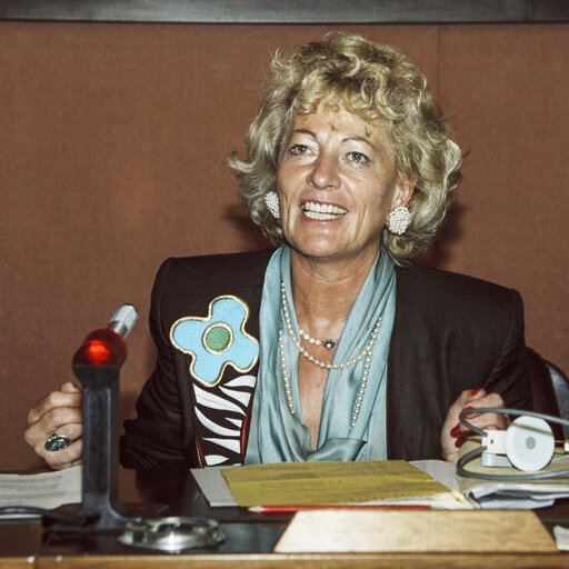 Fotografia 11: Meeting at the EP in Strasbourg