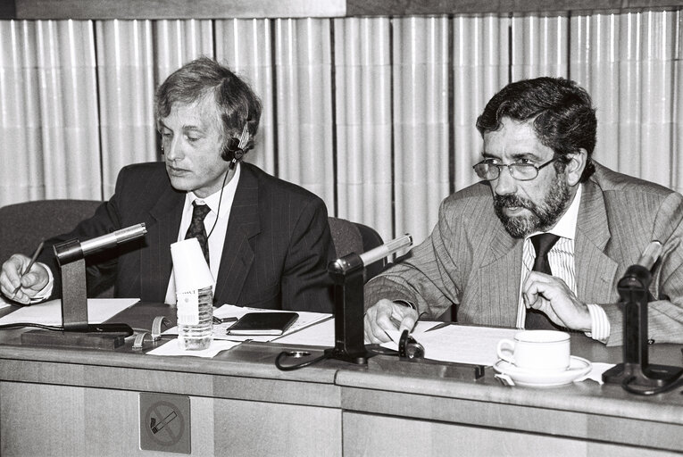 Sergio RIBEIRO MEP gives a press conference in Brussels