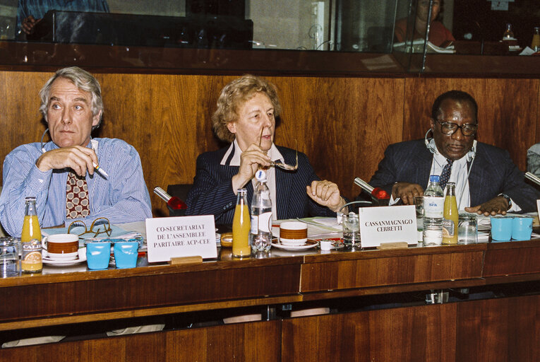 ACP-EU Joint Parliamentary meeting at the E.P. in Brussels