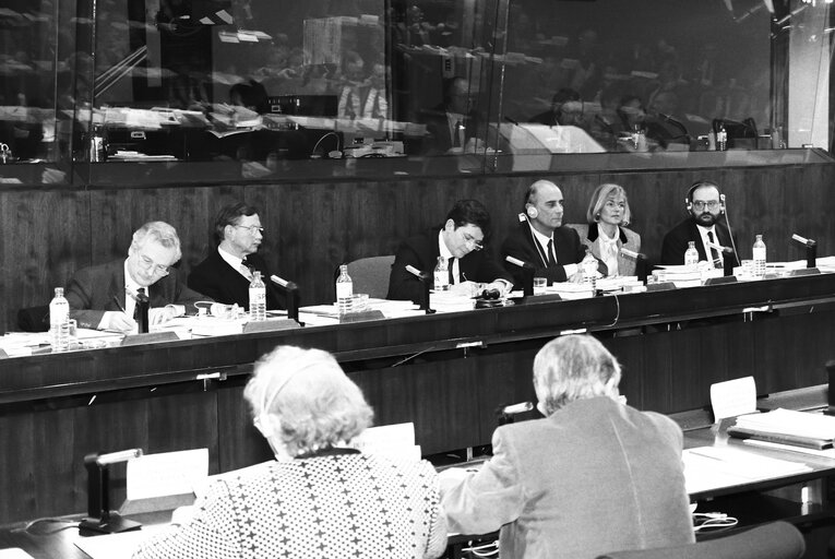 Foto 13: Meeting at the European Parliament in Brussels