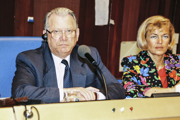 MEP (Hans) Johannes Wilhelm PETERS in the hemicycle