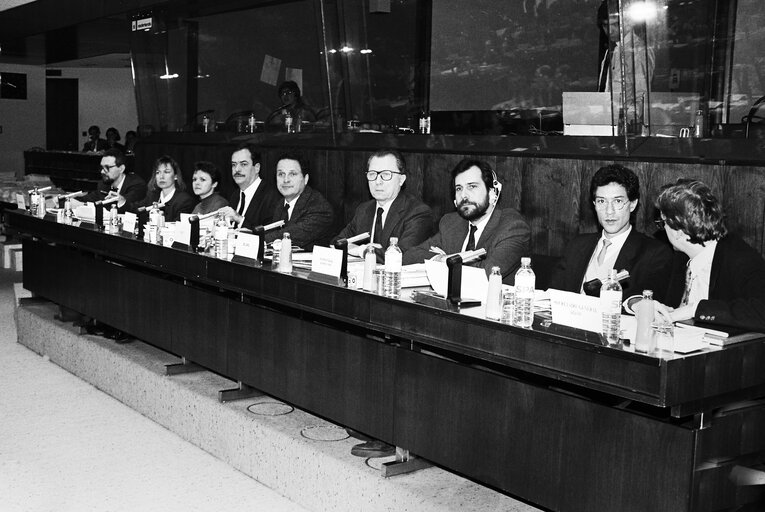 Foto 16: Meeting at the European Parliament in Brussels