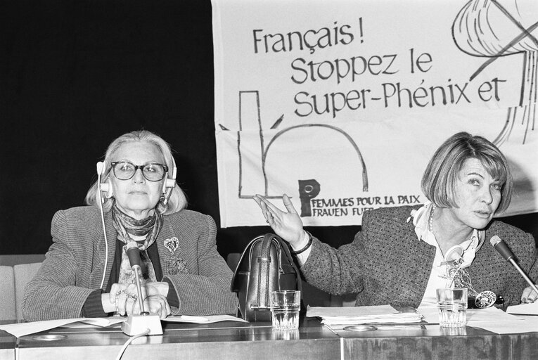 Photo 4: Meeting on the Nuclear Power Station ' Superphenix ' with members of ' Femmes pour la paix ' movement