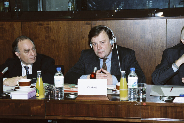 Committee on Civil Liberties and Internal Affairs in Strasbourg