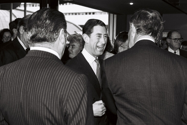 Fotografie 15: Official visit of Prince Charles to European Parliament In Strasbourg