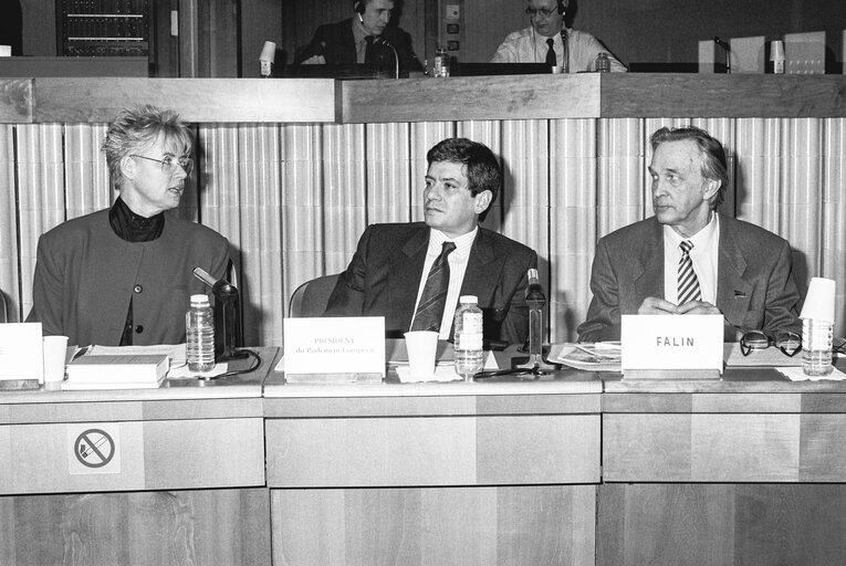 Fotografija 7: Meeting with Russian Delegation at the European Parliament in Strasbourg