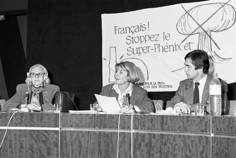 Photo 5: Meeting on the Nuclear Power Station ' Superphenix ' with members of ' Femmes pour la paix ' movement