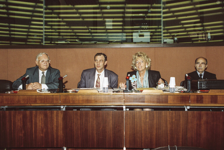 Meeting at the EP in Strasbourg